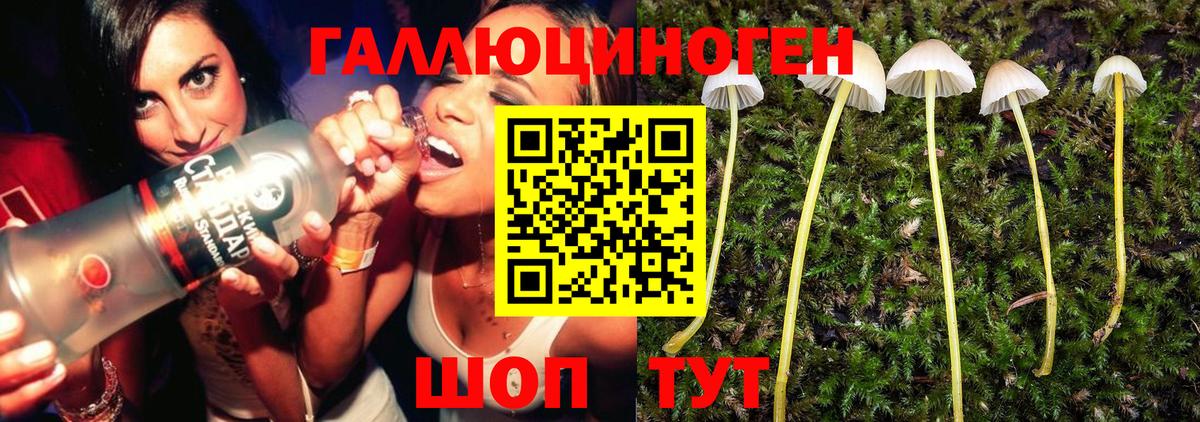 Галлюциногенные грибы Magic Shrooms  Псилоцибиновые грибы мухоморы  Вход с VPN  Рассказово 
